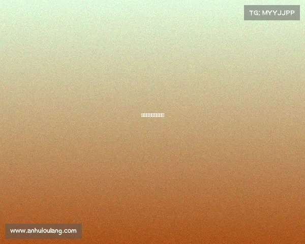 安徽篮球队最新信息