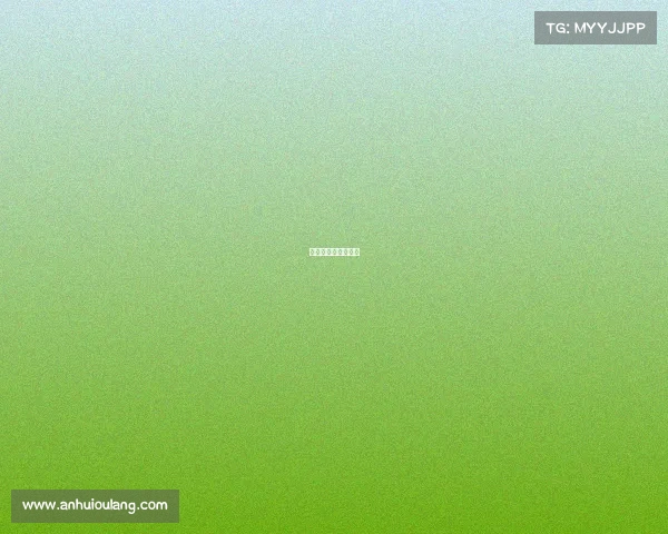 美国最受欢迎的赛事