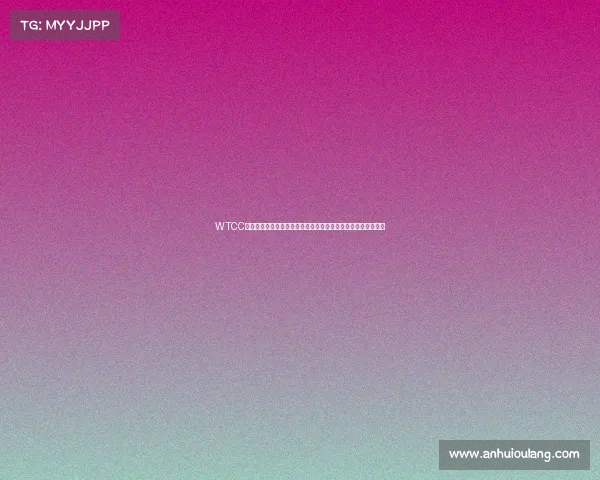 WTCC世界房车锦标赛新赛季烽火再起全球精英车手巅峰对决争夺荣耀